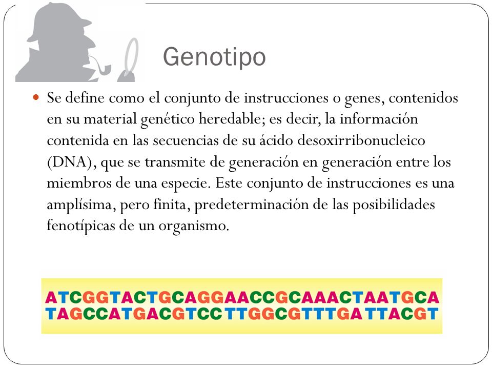 Genotipo