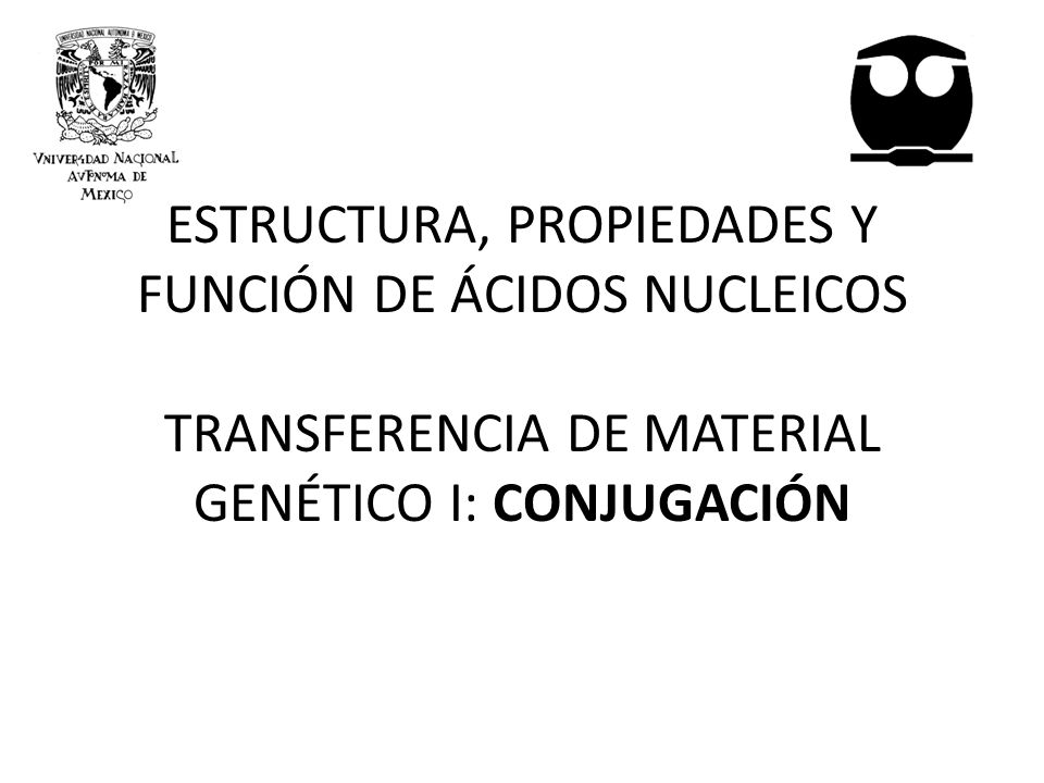 ESTRUCTURA, PROPIEDADES Y FUNCIÓN DE ÁCIDOS NUCLEICOS TRANSFERENCIA DE MATERIAL GENÉTICO I: CONJUGACIÓN