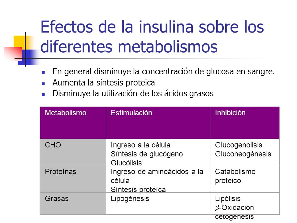 Efectos de la insulina sobre los diferentes metabolismos