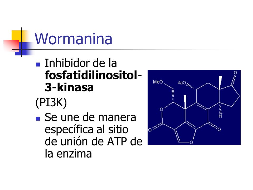 Wormanina Inhibidor de la fosfatidilinositol-3-kinasa (PI3K)