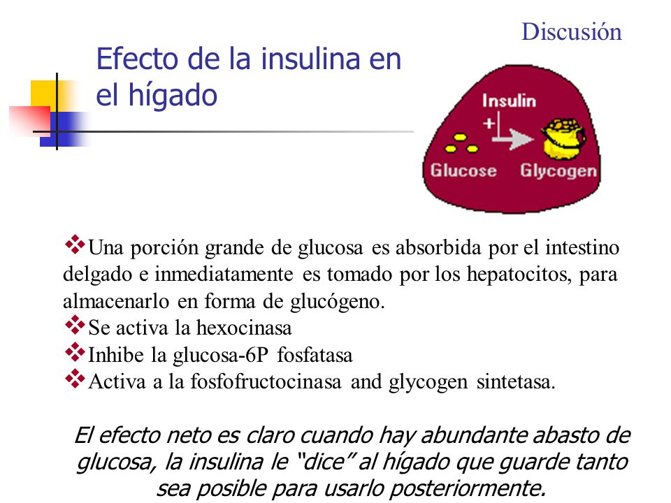 Efecto de la insulina en el hígado