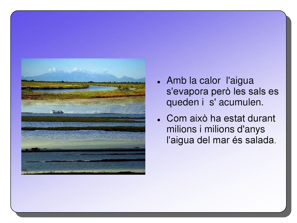 Amb la calor l aigua s evapora però les sals es queden i s acumulen.