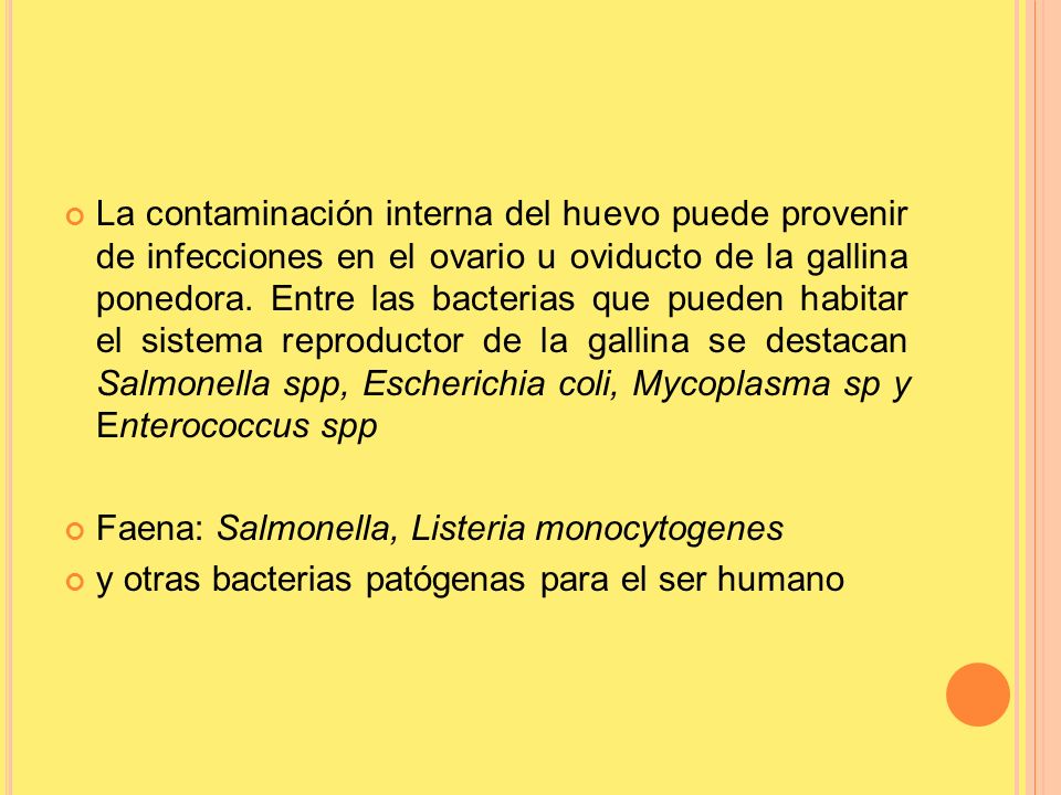 La contaminación interna del huevo puede provenir de infecciones en el ovario u oviducto de la gallina ponedora. Entre las bacterias que pueden habitar el sistema reproductor de la gallina se destacan Salmonella spp, Escherichia coli, Mycoplasma sp y Enterococcus spp