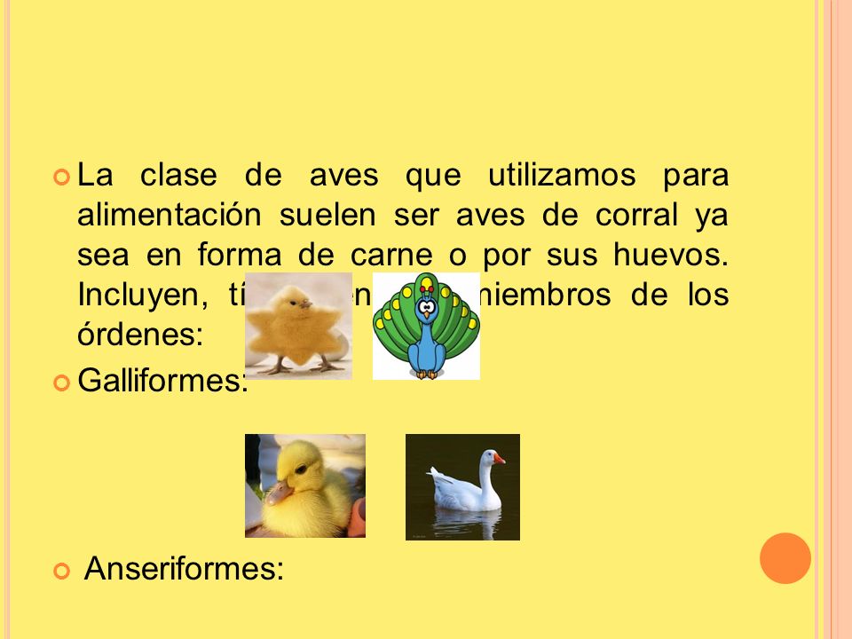La clase de aves que utilizamos para alimentación suelen ser aves de corral ya sea en forma de carne o por sus huevos. Incluyen, típicamente, a miembros de los órdenes: