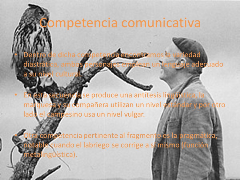 Competencia comunicativa
