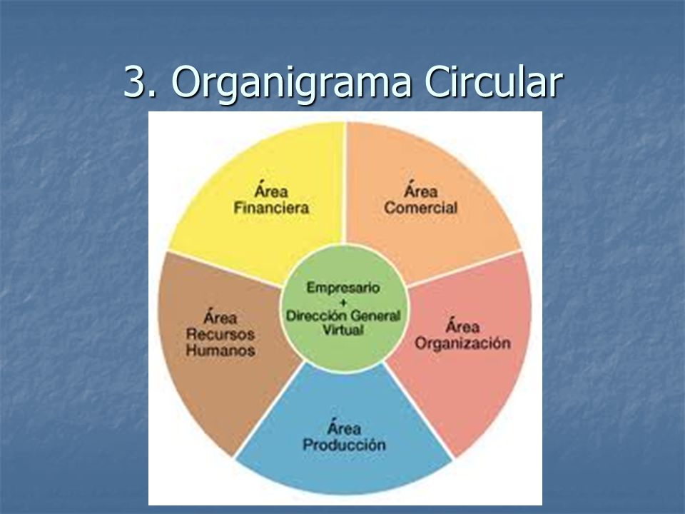 3. Organigrama Circular