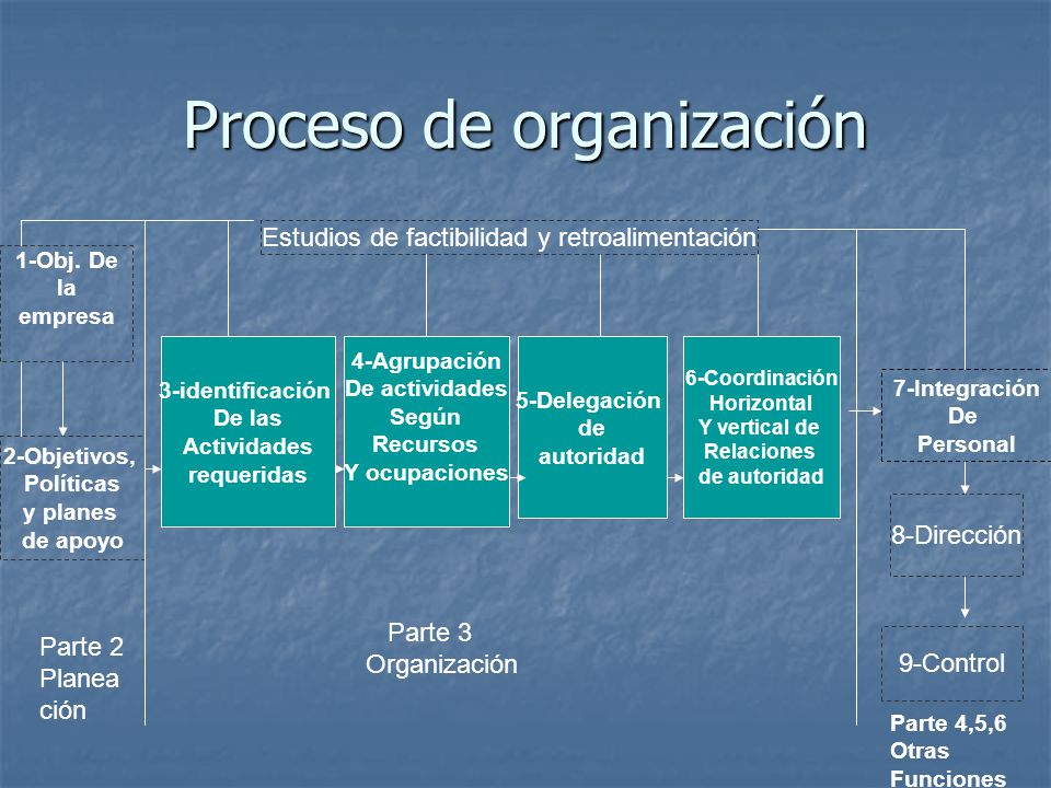 Proceso de organización