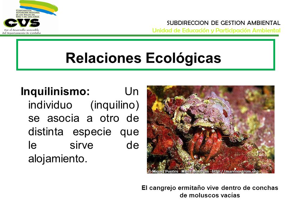 Relaciones Ecológicas