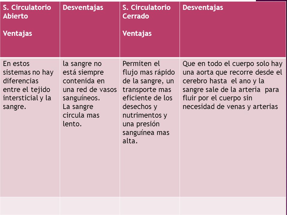 S. Circulatorio Abierto