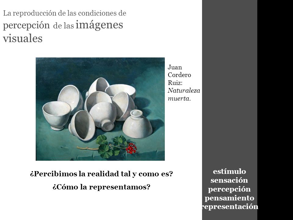 estímulo sensación percepción pensamiento representación