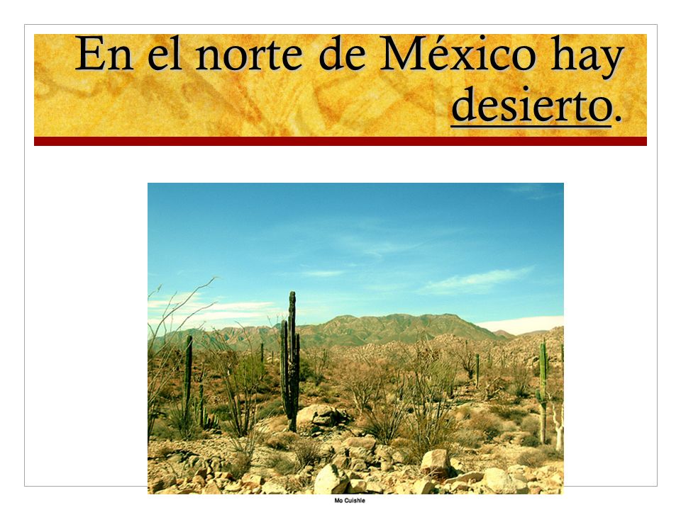 En el norte de México hay desierto.