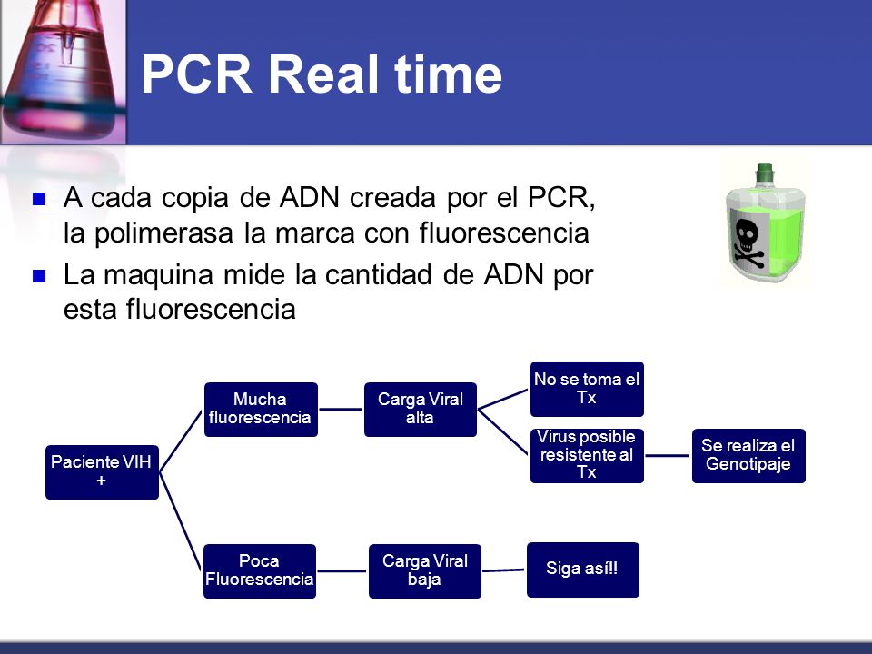 PCR Real time A cada copia de ADN creada por el PCR, la polimerasa la marca con fluorescencia.