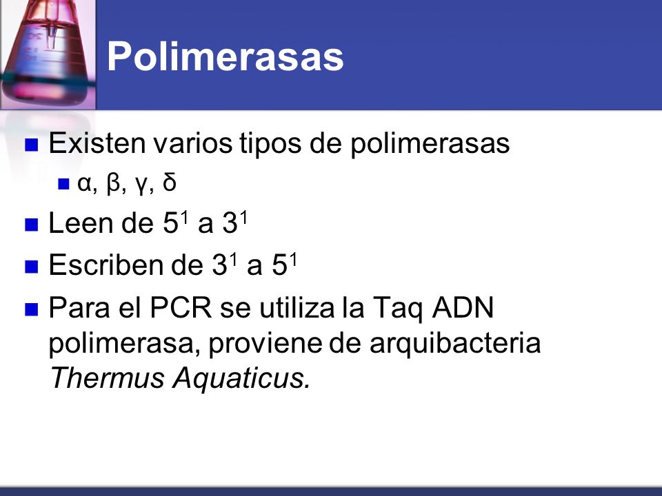 Polimerasas Existen varios tipos de polimerasas Leen de 51 a 31