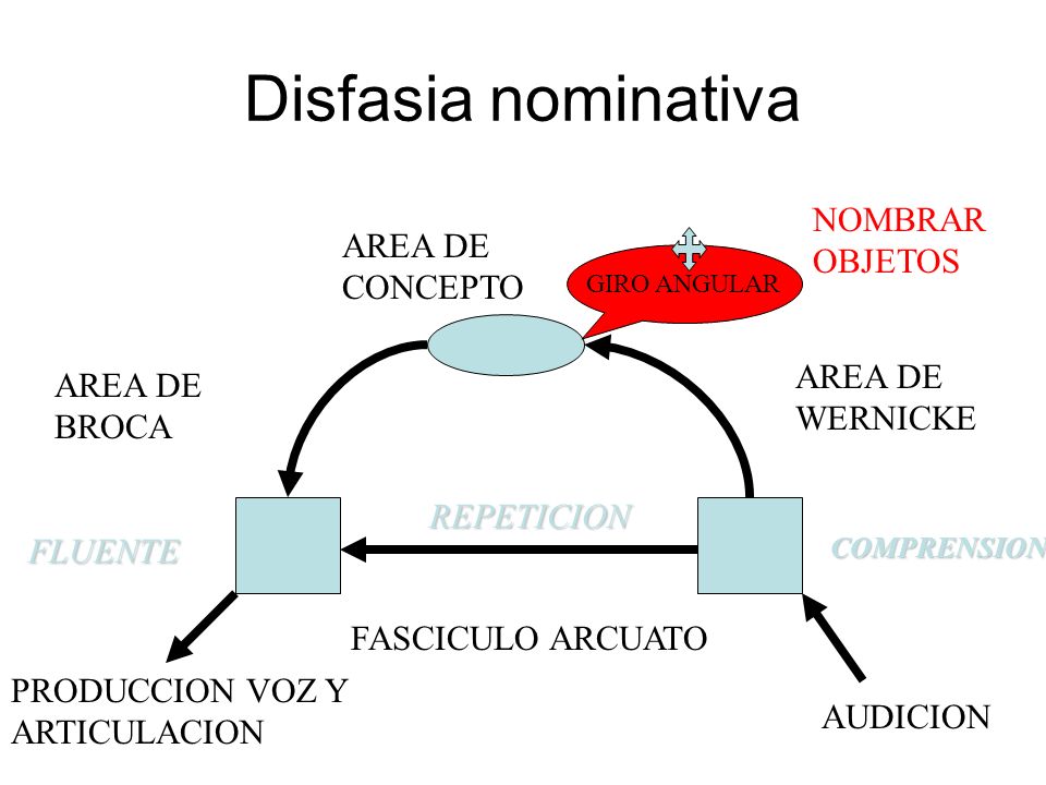 Disfasia nominativa NOMBRAR OBJETOS AREA DE CONCEPTO AREA DE WERNICKE