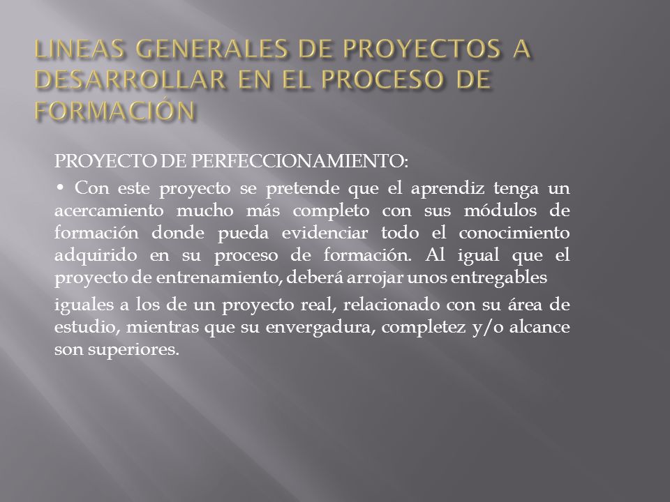 LINEAS GENERALES DE PROYECTOS A DESARROLLAR EN EL PROCESO DE FORMACIÓN