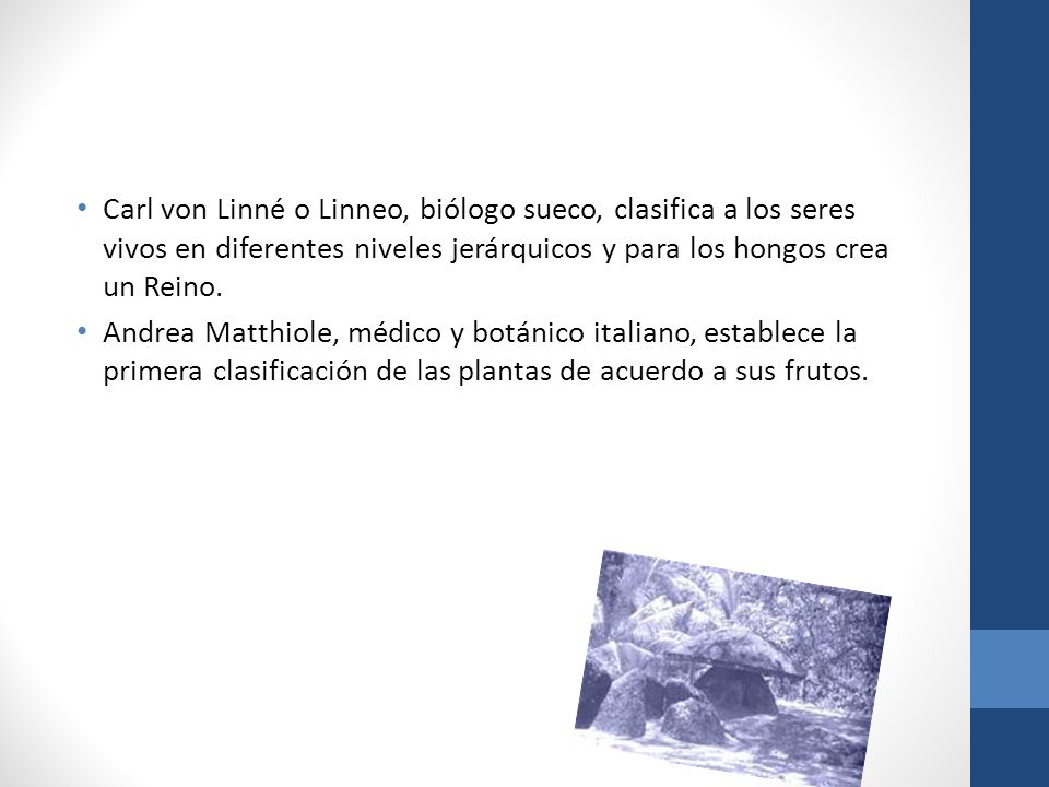 Carl von Linné o Linneo, biólogo sueco, clasifica a los seres vivos en diferentes niveles jerárquicos y para los hongos crea un Reino.