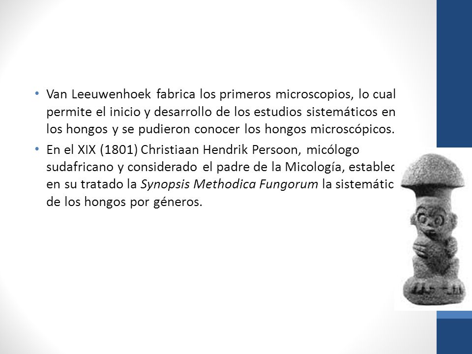 Van Leeuwenhoek fabrica los primeros microscopios, lo cual permite el inicio y desarrollo de los estudios sistemáticos en los hongos y se pudieron conocer los hongos microscópicos.