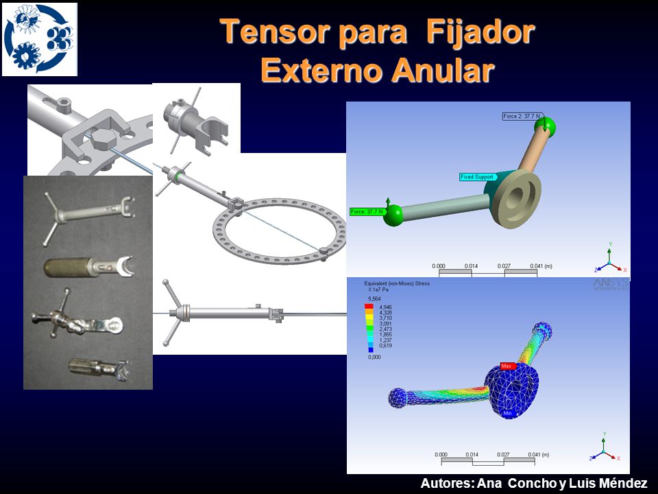 Evaluación de distintos Materiales para Modelos de Clavos Endomedulares: Fémur y Tibia