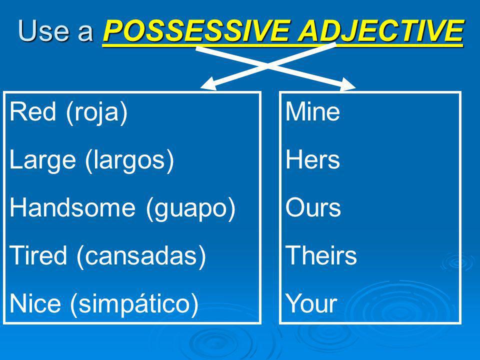 Use a POSSESSIVE ADJECTIVE