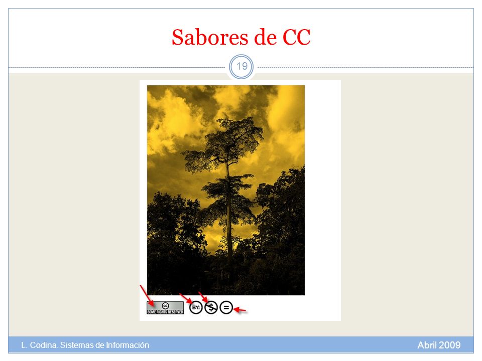 Sabores de CC L. Codina. Sistemas de Información Abril 2009