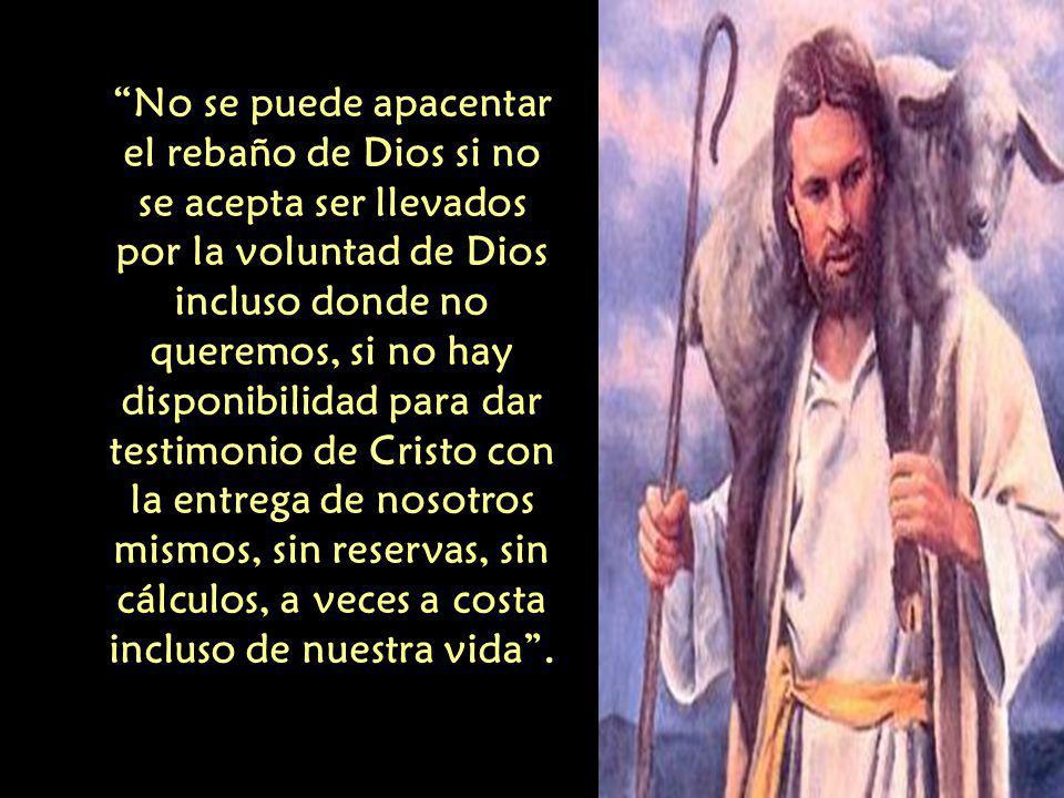 No se puede apacentar el rebaño de Dios si no se acepta ser llevados por la voluntad de Dios incluso donde no queremos, si no hay disponibilidad para dar testimonio de Cristo con la entrega de nosotros mismos, sin reservas, sin cálculos, a veces a costa incluso de nuestra vida .