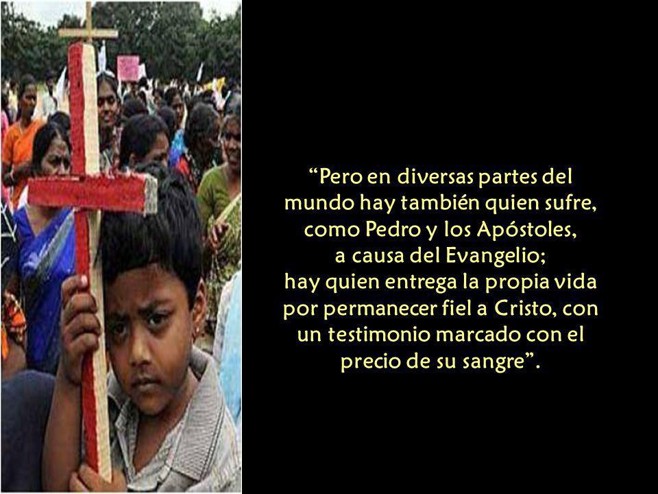 Pero en diversas partes del mundo hay también quien sufre, como Pedro y los Apóstoles, a causa del Evangelio; hay quien entrega la propia vida por permanecer fiel a Cristo, con un testimonio marcado con el precio de su sangre .