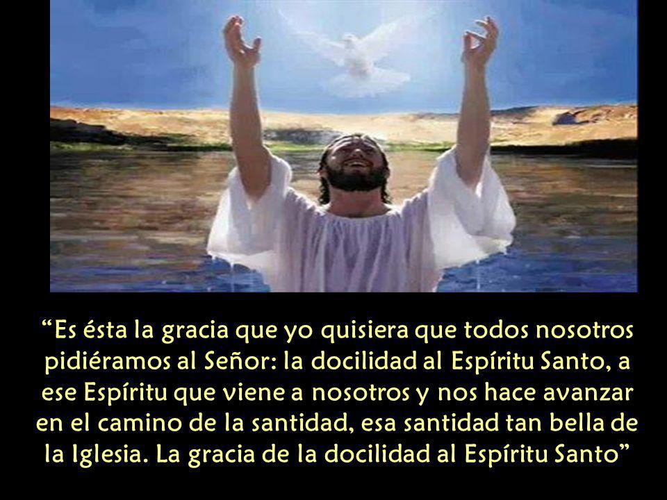 Es ésta la gracia que yo quisiera que todos nosotros pidiéramos al Señor: la docilidad al Espíritu Santo, a ese Espíritu que viene a nosotros y nos hace avanzar en el camino de la santidad, esa santidad tan bella de la Iglesia.