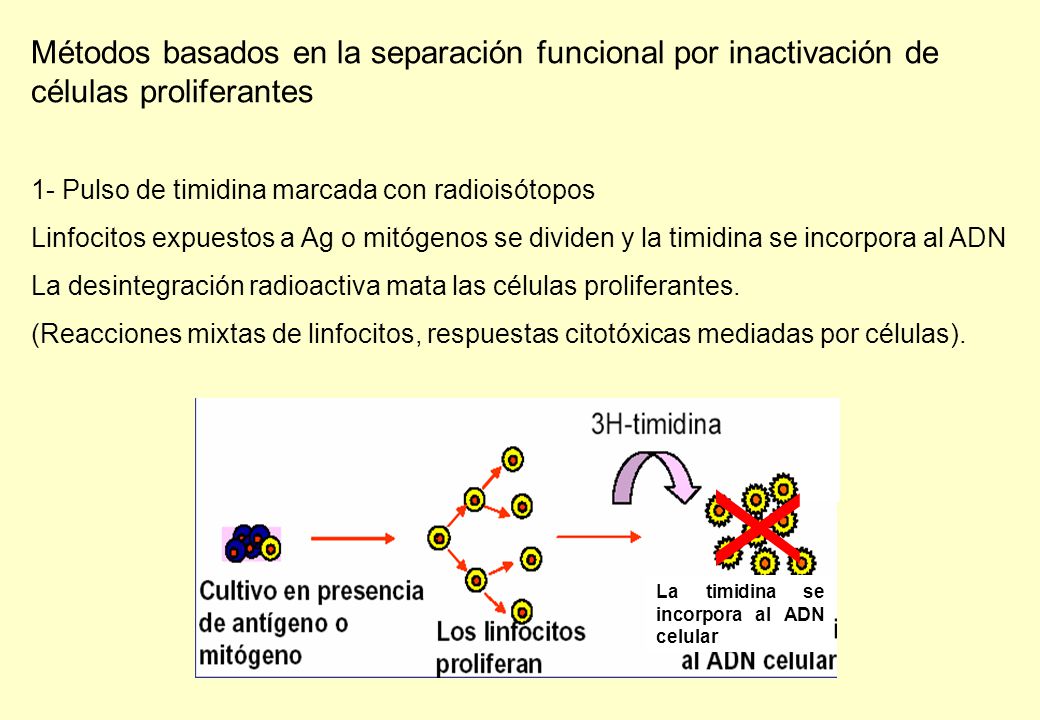 Métodos basados en la separación funcional por inactivación de células proliferantes