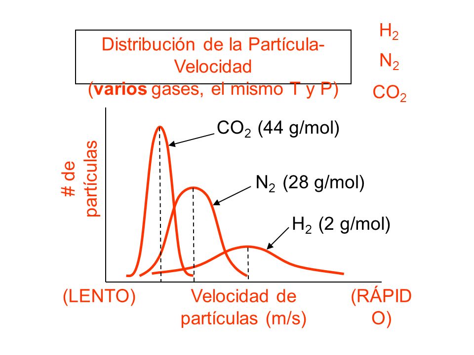 Distribución de la Partícula-Velocidad (varios gases, el mismo T y P)