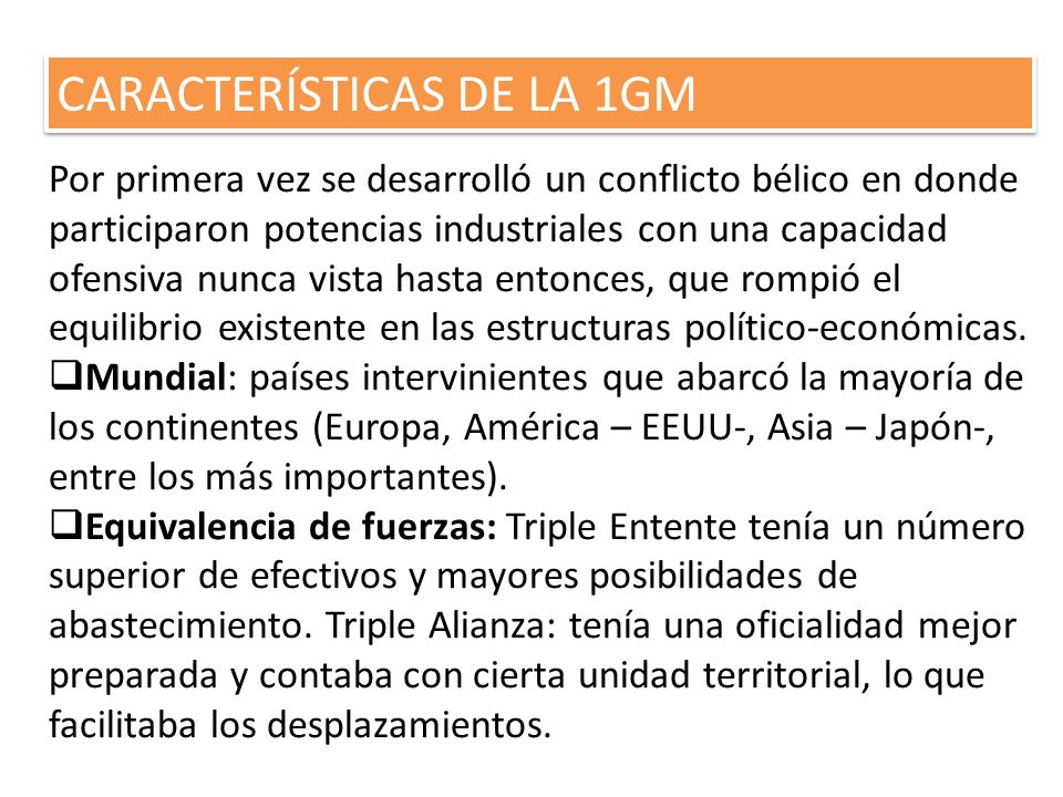 CARACTERÍSTICAS DE LA 1GM
