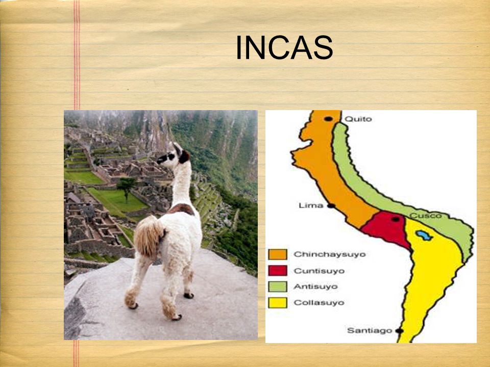 INCAS