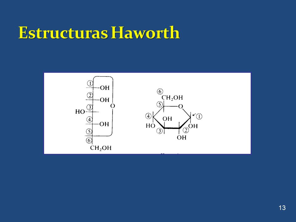 Estructuras Haworth