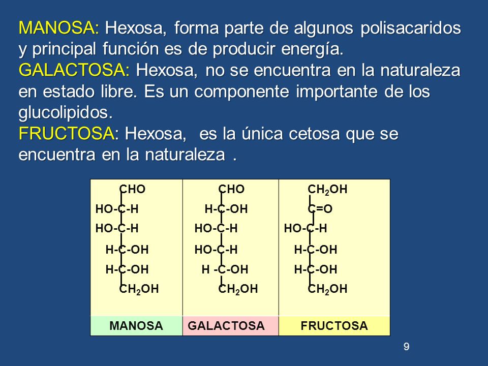 MANOSA: Hexosa, forma parte de algunos polisacaridos y principal función es de producir energía.