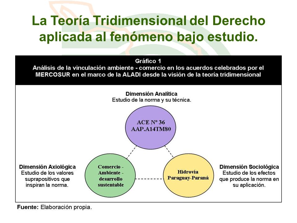 La Teoría Tridimensional del Derecho aplicada al fenómeno bajo estudio.