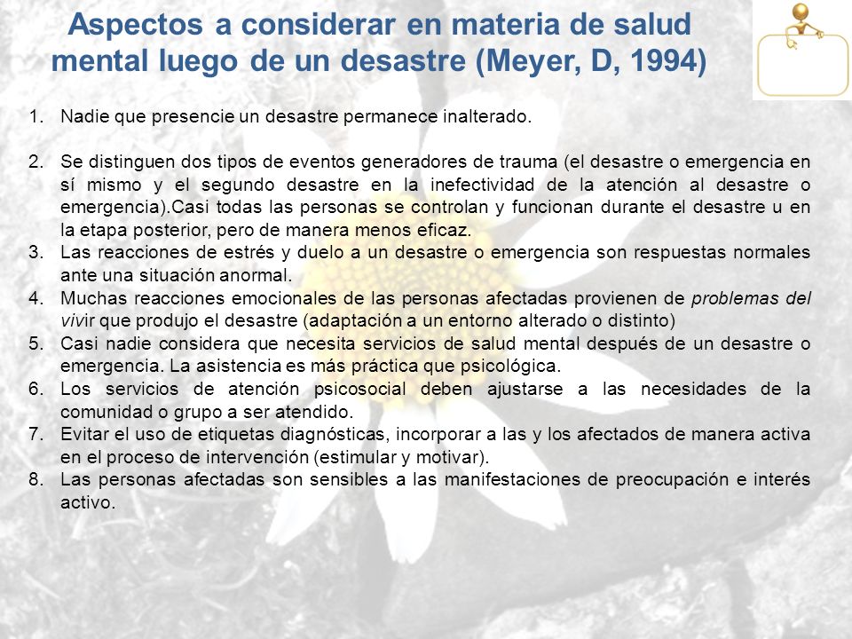Aspectos a considerar en materia de salud mental luego de un desastre (Meyer, D, 1994)