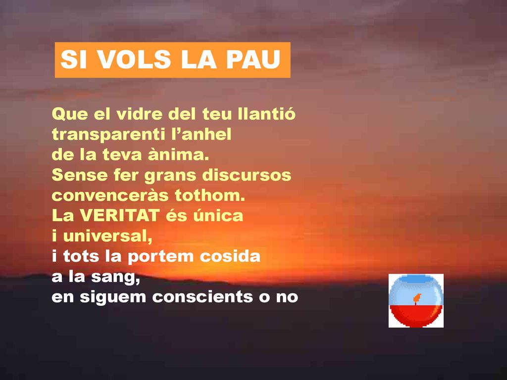 SI VOLS LA PAU Que el vidre del teu llantió