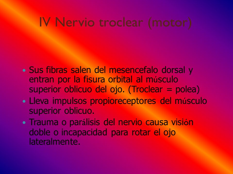IV Nervio troclear (motor)