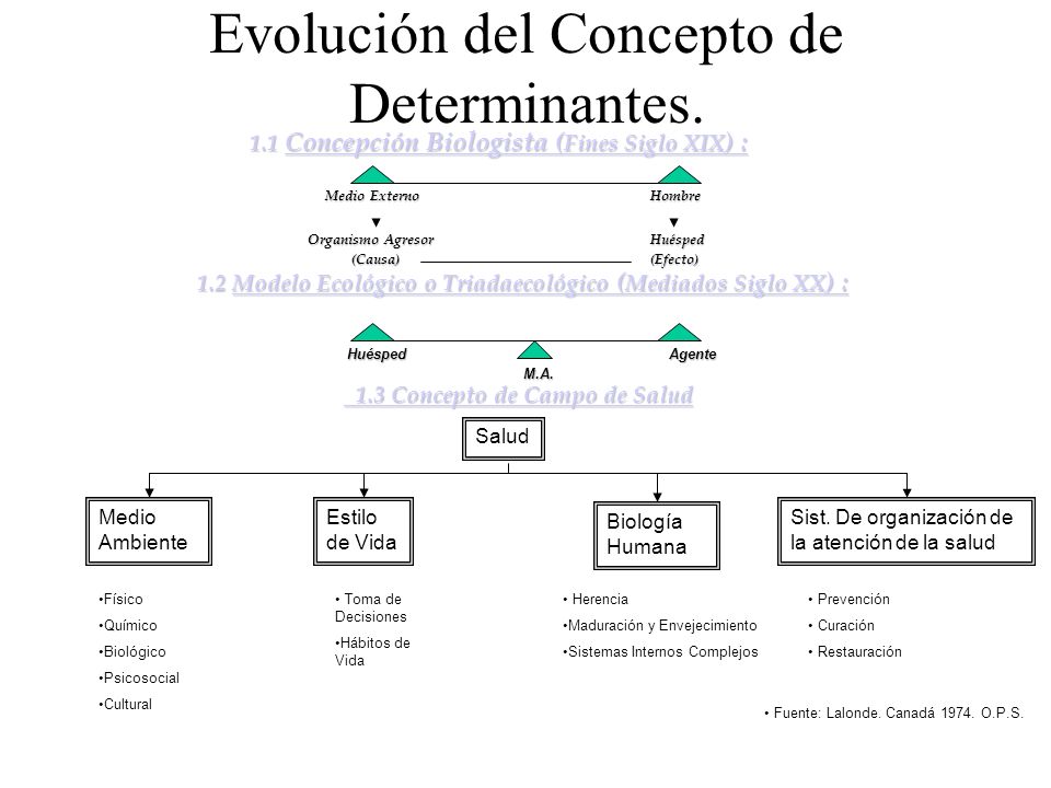 Evolución del Concepto de Determinantes.