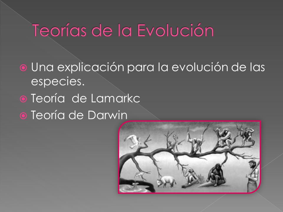 Teorías de la Evolución