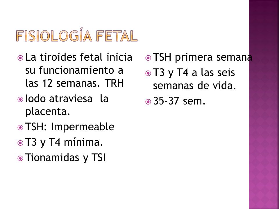 Fisiología Fetal La tiroides fetal inicia su funcionamiento a las 12 semanas. TRH. Iodo atraviesa la placenta.