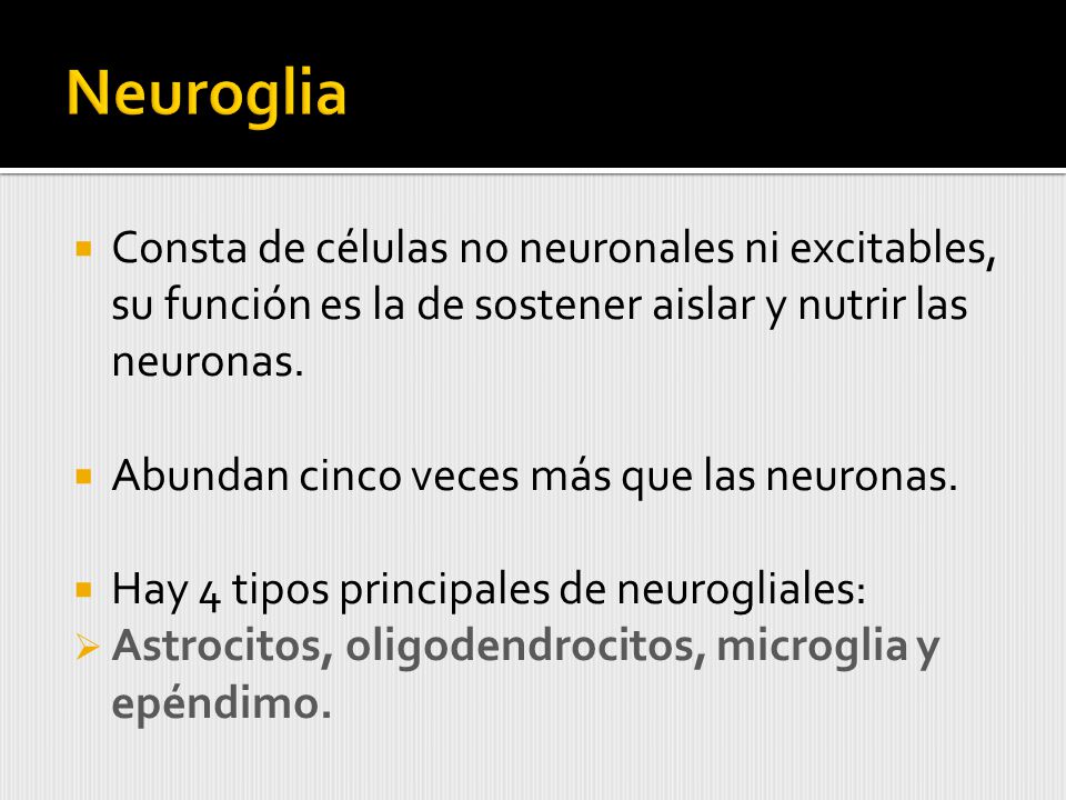 Neuroglia Consta de células no neuronales ni excitables, su función es la de sostener aislar y nutrir las neuronas.