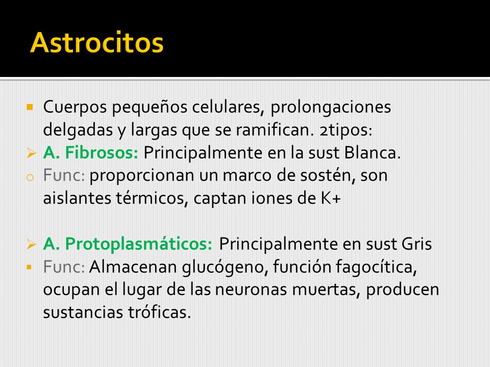 Astrocitos Cuerpos pequeños celulares, prolongaciones delgadas y largas que se ramifican. 2tipos: A. Fibrosos: Principalmente en la sust Blanca.