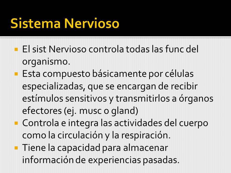 Sistema Nervioso El sist Nervioso controla todas las func del organismo.