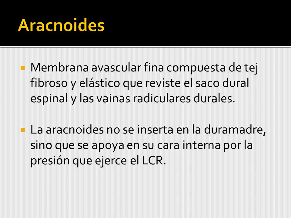 Aracnoides Membrana avascular fina compuesta de tej fibroso y elástico que reviste el saco dural espinal y las vainas radiculares durales.