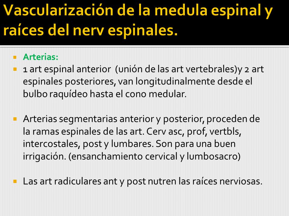 Vascularización de la medula espinal y raíces del nerv espinales.