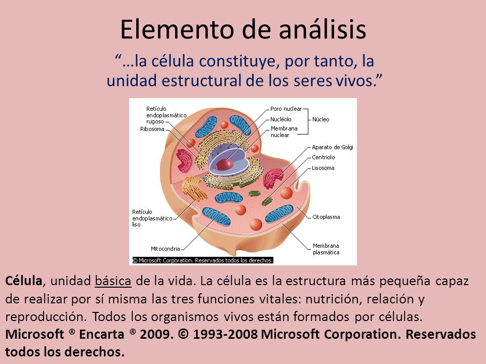 Elemento de análisis …la célula constituye, por tanto, la unidad estructural de los seres vivos.