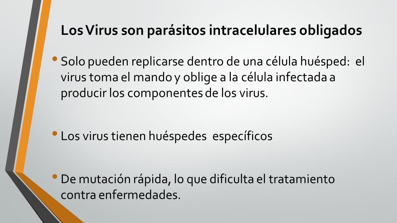 Los Virus son parásitos intracelulares obligados