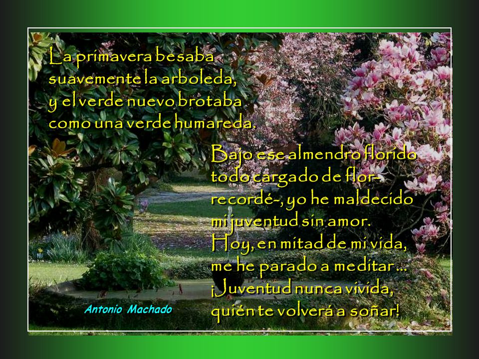 La primavera besaba suavemente la arboleda, y el verde nuevo brotaba como una verde humareda.