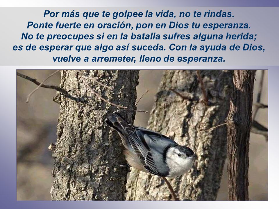 Por más que te golpee la vida, no te rindas.