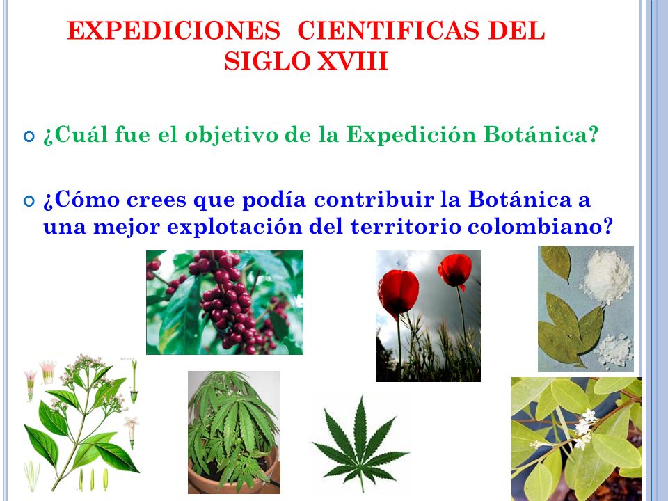 EXPEDICIONES CIENTIFICAS DEL SIGLO XVIII